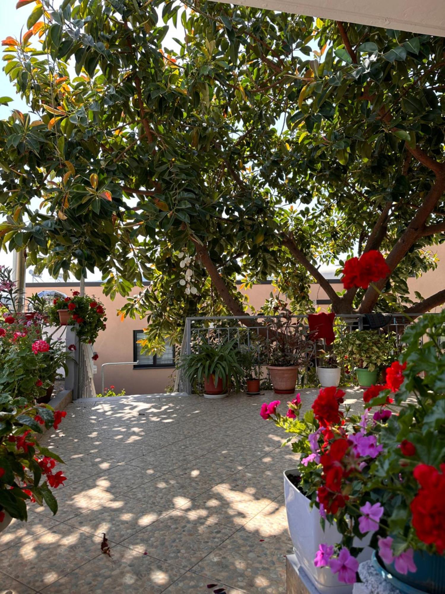 Albi'S Guesthouse Ksamil Eksteriør billede