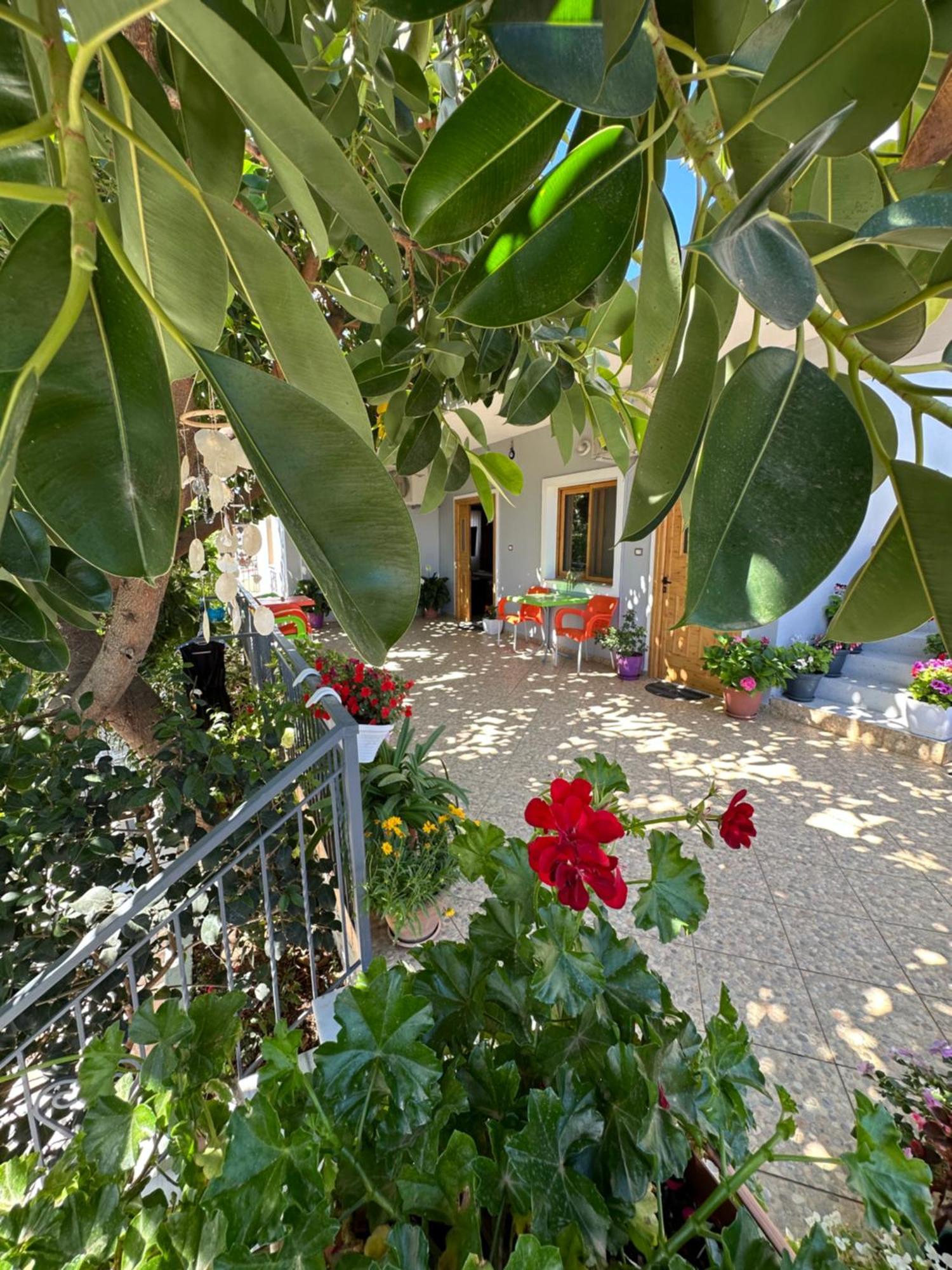 Albi'S Guesthouse Ksamil Eksteriør billede